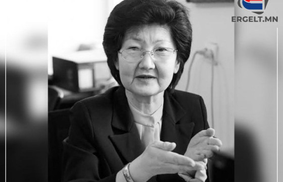 Д.ОЮУНЧИМЭГ: Үндсэн хуулийг олон дахин өөрчилж, хэрэггүй заалт нэмсээр байвал Үндсэн хууль байхаа болино