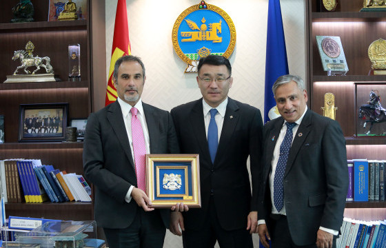 Гамшгийн эрсдэлийг бууруулах, урьдчилан сэргийлэх талаар санал солилцлоо