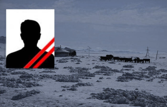 Хоёр сартай нярайг малын тэжээлээр дарж амийг нь хөнөөсөн байж болзошгүй хэргийн шүүх хурал энэ сарын 19-нд болно