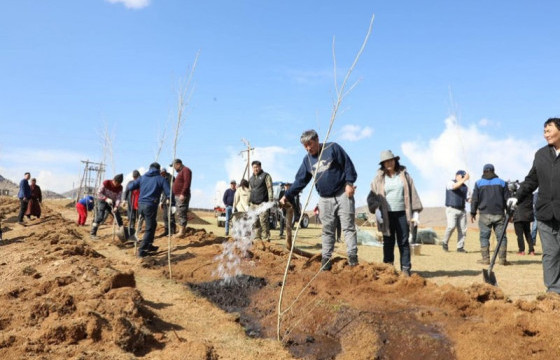 АРХАНГАЙ: Хогийн цэг байсан найман га газарт төгөл байгуулах ажлыг эхлүүллээ