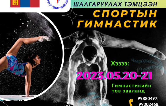 Спортын гимнастикийн улсын аварга болно