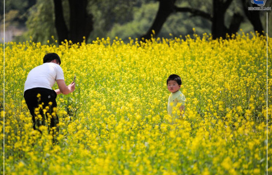 ФОТО СУРВАЛЖИЛГА: Хан мөрний бүтээн байгуулалт
