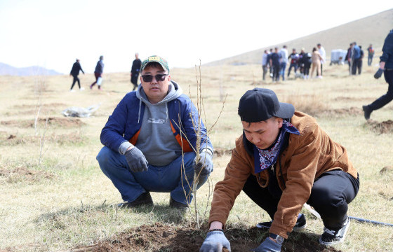 ӨНГӨРСӨН ЖИЛ ТАРЬСАН МОДДЫН УРГАЛТ 90 ГАРУЙ ХУВЬТАЙ БАЙНА