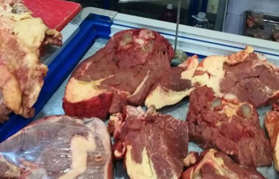  “ХҮЧИТ ШОНХОР”, “НАРАНТУУЛ-II” МАХНЫ БӨӨНИЙ ХУДАЛДААНЫ ТӨВД ТӨЛӨВЛӨГӨӨТ БУС ХЯНАЛТ, ШАЛГАЛТ ХИЙЖЭЭ