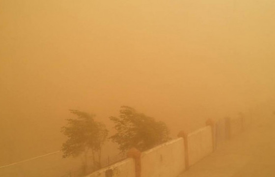 ХЭНТИЙ АЙМГИЙН ОБГ-ЫН МЭРГЭЖИЛТЭН: ЦАСАН ШУУРГАНААР СУРАГГҮЙ БОЛСОН НЭГ ИРГЭНИЙГ ОЛООГҮЙ БАЙНА