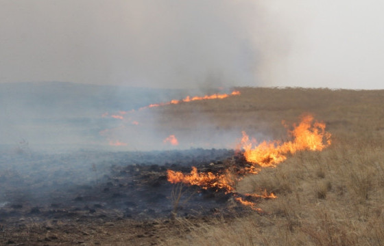 Дорнодын Дашбалбар суманд хээрийн түймэр гарчээ