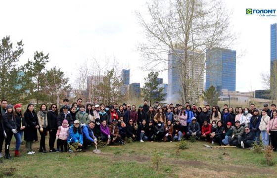 “Голомтын төгөл” 740 гаруй гацуур модтой боллоо