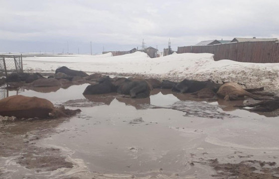 Хэнтий, Сүхбаатар, Дорнод аймагт шаардлагатай бараа материалын дэмжлэг үзүүллээ