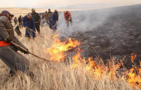 Сэлэнгэ аймагт гарсан хээрийн түймрийг бүрэн унтраажээ