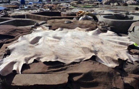 Эмээлт захын түүхийн эдийн үнэ ханш