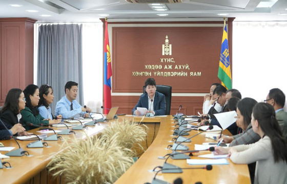 УЛСЫН ХЭМЖЭЭНД ХЯНАЛТ ШАЛГАЛТ ЗОХИОН БАЙГУУЛАХ, ХОЛБОГДОХ АРГА ХЭМЖЭЭ АВАХ АЖЛЫН ХЭСЭГ БАЙГУУЛЛАА