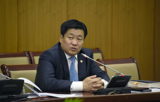 Б.ЭНХ-АМГАЛАН: Сонгогчид 