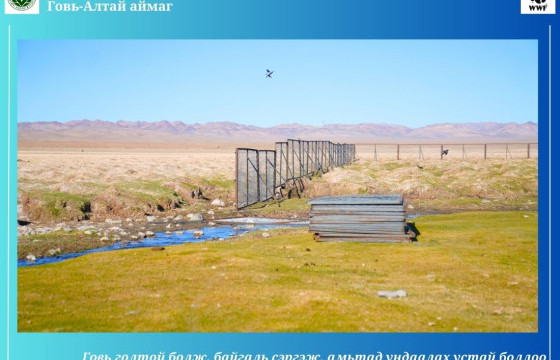 ТОМИЛОЛТ: ГОВЬ-АЛТАЙЧУУДЫН 
