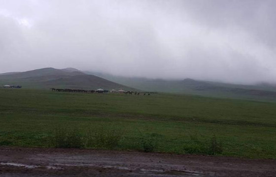 Булганд орсон усархаг борооны улмаас 10 хонь аянганд ниргүүлж, нэг гэр урсжээ