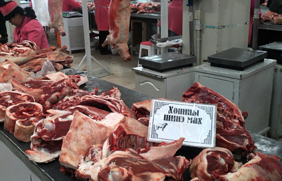 Хүчит шонхор, Дэнжийн 1000 захад хонины мах кг нь16000 байх бол үхрийн мах кг нь 23000 төгрөгийн үнэтэй байна