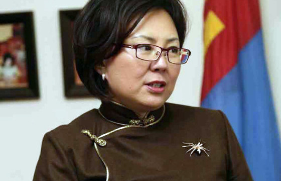 С.ОДОНТУЯА: Улсынхаа нэр хүндийг гутаасан Мандал сумын орлогч даргын асуудалд хатуу хандаж, цаашид ийм асуудалтай тэмцэнэ