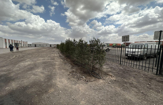 “Эко глобал ложистикс” ХХК  говийн хөрсөнд 5000 суулгацыг суулган арчилж ургуулахаар ажиллаж байна