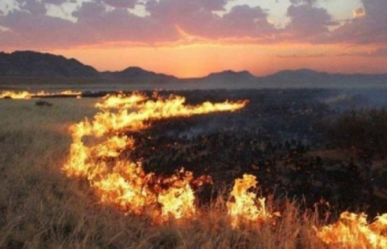 Сэлэнгэ аймагт гарсан ой хээрийн түймрийг цурамд оруулжээ