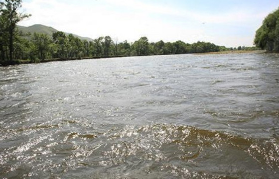Голд унаж осолдсон долоо настай хүүг эрэн хайж байна
