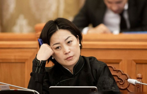 П.АНУЖИН: МАЛЧИД НИЙГМИЙН ДААТГАЛЫН ШИМТГЭЛЭЭ ХӨДӨЛМӨРИЙН ХӨЛСНИЙ ДООД ХЭМЖЭЭГЭЭР ТӨЛБӨЛ 50 ХУВИЙГ НЬ УЛСААС ТӨЛНӨ