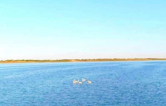 Ганга нуур сэргэж, 18 жилийн өмнөх түвшинд хүрчээ