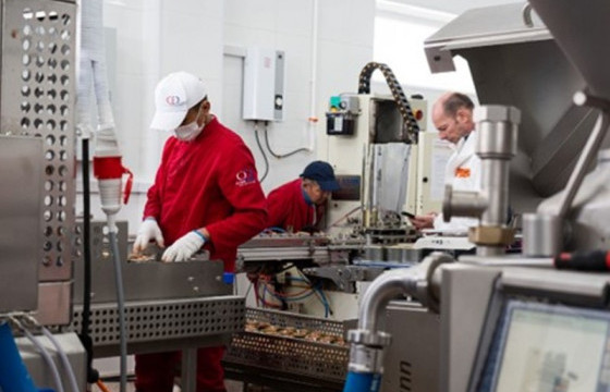 Уул уурхайн бус экспортыг нэмэгдүүлэхэд хувь нэмрээ оруулах шинэ үйлдвэр ашиглалтад орлоо