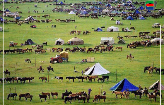 Хөх өвгөдийн магнай тэнийж, хөхүүртэй айраг чимчигнэсэн сумын наадам