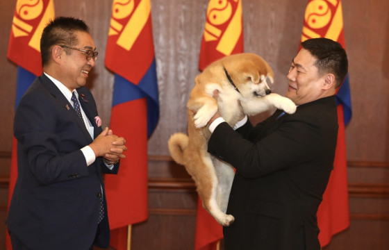 Ерөнхий сайд Л.Оюун-Эрдэнэ Япон Улсын Ерөнхий сайд асан Ё.Сүгагийн бэлэг Акита үүлдрийн нохойг хүлээн авлаа