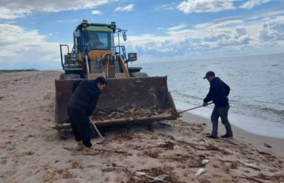 А.ГАНТУЛГА: БУЙР НУУРЫН ХЭЛТЭГ ЗАГАС ОЛНООРОО ХОРОГДСОН НЬ БНХАУ-ЫН ЗАГАСНЫ ҮЙЛДВЭРТЭЙ ХАМААРАЛГҮЙ
