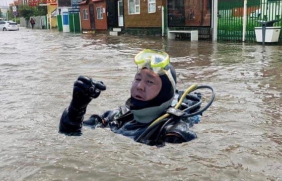 Ерөнхийлөгчийн зургийг мийм хийсэн М.Содномдаржааг хүний нэр хүндэд халдсан гэх үндэслэлээр шалгаж байна