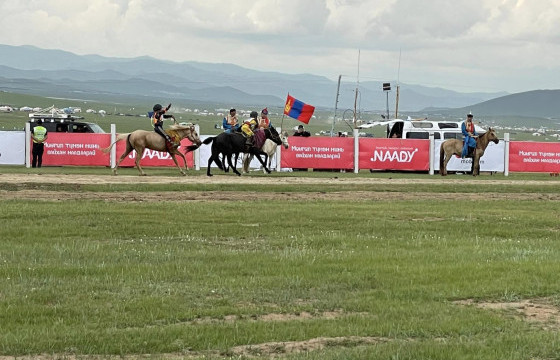 Шүдлэн насны айргийн тавд хурдалсан морьдыг танилцуулж байна