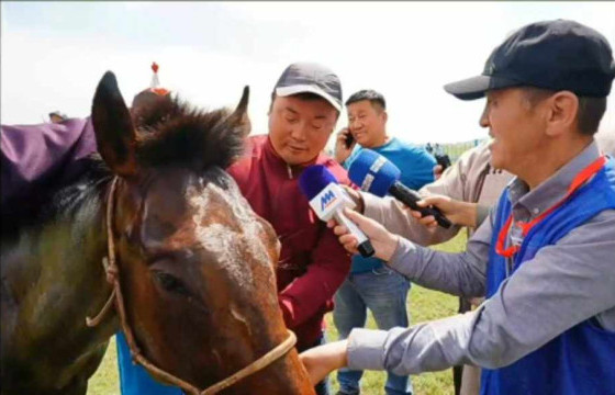 Улсын алдарт уяач Э.ДАШЧИРЭВ: Хээр үрээ маань дан уяагаар улсын баяр наадамд уралдаж, түрүүллээ