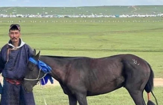 ХӨДӨӨГИЙН БУЙД УЯАЧ ТӨРИЙН НААДАМД ТОРГОН ЖОЛОО ӨРГӨЛӨӨ 