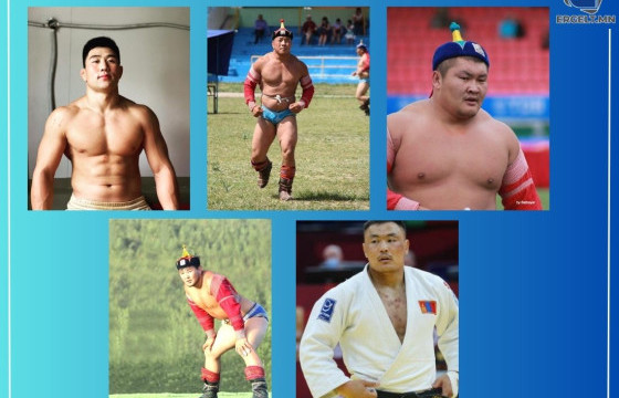 Тав давж начин цолны болзол хангасан бөхчүүд