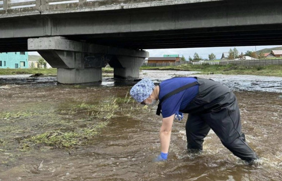 Нийслэлд үерийн аюул нүүрлэсэн 41 газраас авсан дээжид хийсэн шинжилгээний хариу гарлаа