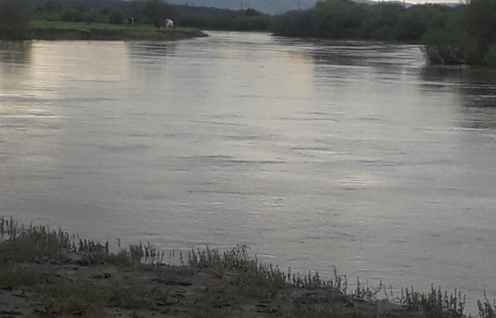 Тогтоол усанд өсвөр насны хоёр хүүхэд живж, нас баржээ