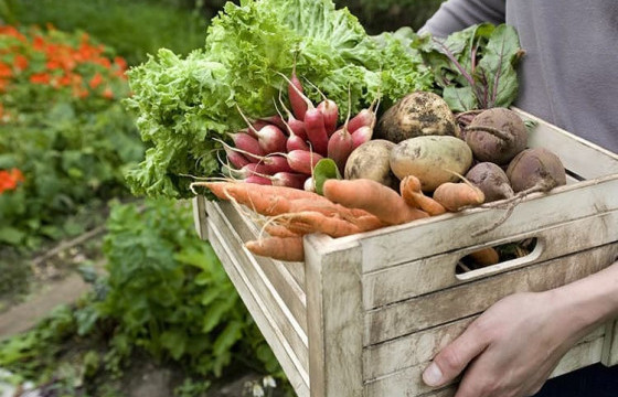 Хүнс үйлдвэрлэгчдэд 4.7 тэрбум төгрөгийн зээл олгоно