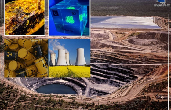 ДЭЛХИЙН ЗАХ ЗЭЭЛИЙН 