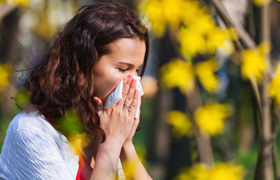 ЗӨВЛӨГӨӨ: Харшлаа дур мэдэн эмчлэх нь  хүндрэх эрсдэлийг нэмэгдүүлнэ