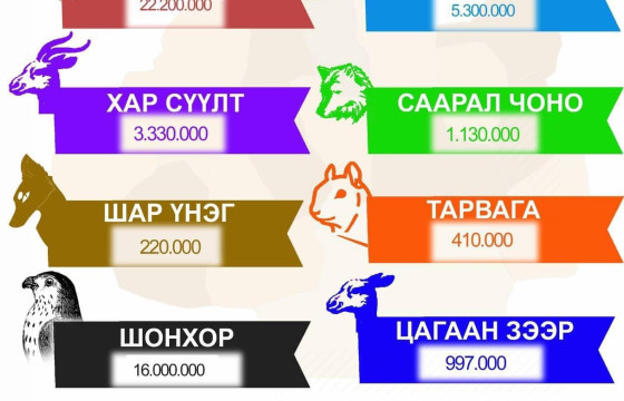 ЭЦА: АМЬТНЫ ЭКОЛОГИ-ЭДИЙН ЗАСГИЙН ҮНЭЛГЭЭ ШИНЭЧЛЭГДЛЭЭ