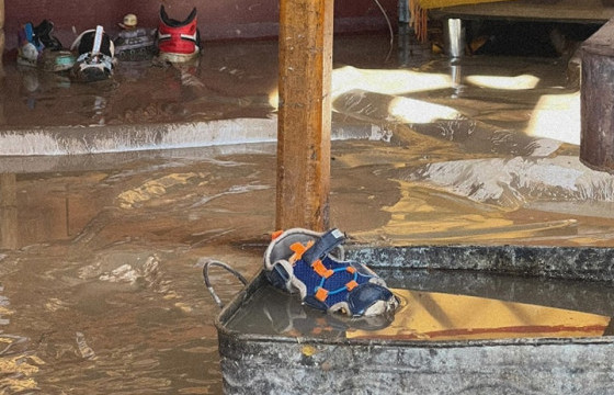 ЭМЯ: Үерийн усанд ил шархтай орвол халдвар авах эрсдэлтэй