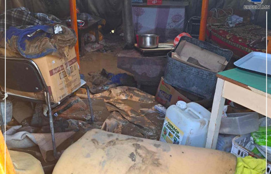 ФОТО СУРВАЛЖИЛГА: АВТОМАШИНУУДЫГ ЖОЛООЧТОЙ НЬ, ГЭРИЙГ БҮТНЭЭР УРСГАСАН ҮЕРИЙН ДАРАА