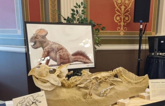 АНУ руу хууль бусаар гаргасан үлэг гүрвэлийн 16 олдворыг эргүүлэн авлаа