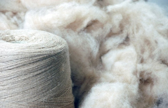 Манай улс энэ оны эхний долдугаар сард  ямааны самнасан ноолуурын 83 хувийг Италид экспортолжээ