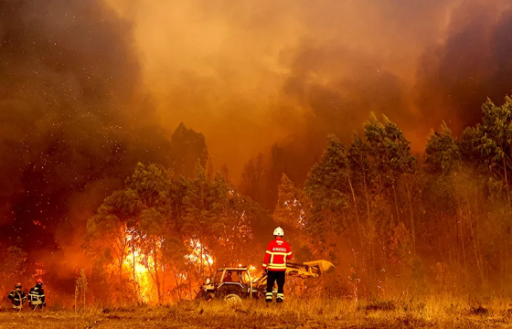 Португалд хэт халалтын улмаас түймэр дэгдэж, 1400 гаруй иргэнийг нүүлгэн шилжүүлжээ