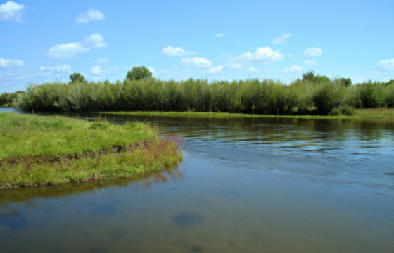 Согтууруулах ундаа хэрэглсэн үедээ амиа хорлохоор Хэрлэн голд орсон эмэгтэйг аварчээ