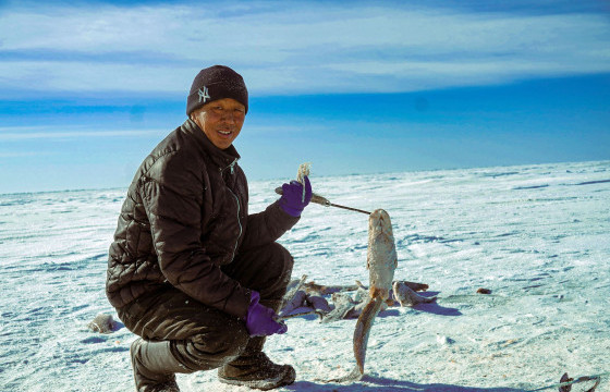 БУЙРЫН ЗАГАСЧИН ГЭР БҮЛ