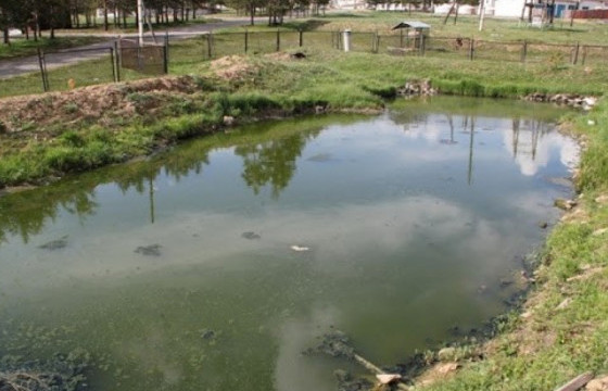 Есөн настай хүүхэд тогтоол усанд живж, нас баржээ