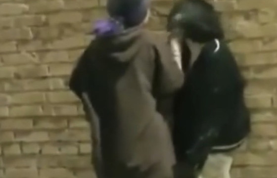 ЦЕГ-ын мэргэжилтэн: Өсвөр насны охид нэгнээ зодож, дарамталсан хэрэг хаана, хэзээ гарсныг тогтоохоор ажиллаж байна