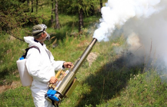 Ойн хөнөөлт шавжтай авиа микробиологийн аргаар тэмцэх ажил 91,6 хувийн гүйцэтгэлтэй байна